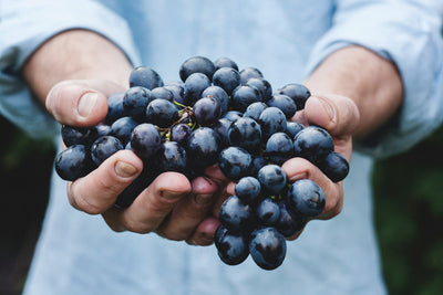 What are the benefits of Resveratrol?