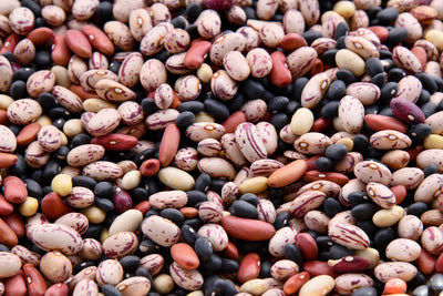 Pantothenic Acid - Essential for Energy Production
