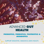 myPEAK PeakBiotic: The Best Vegan Probiotic Prebiotic Supplement for Women and Men to Support Reduced Gas & Bloating, Optimal Gut Health, Mood, Digestion, Immunity, Weight, Skin, Brain Health & Regular Bowel Movements Ingredients.